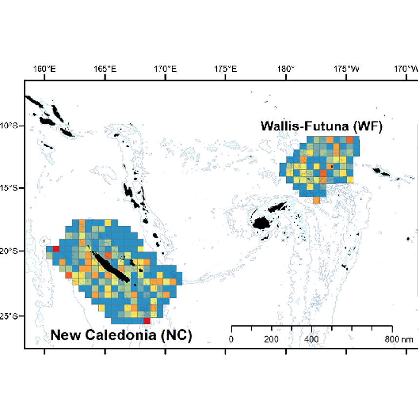 Who lives in the open sea? Distribution and densities of surfacing marine megafauna in three subregions of the South Pacific (New Caledonia, Wallis and Futuna, and French Polynesia)